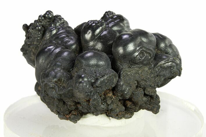 Botryoidal Goethite Formation - Taouz, Morocco #292051